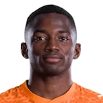 बाज़ौमाना तूरे